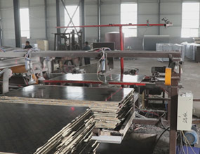 建筑模板全自動(dòng)鋸邊機(jī)